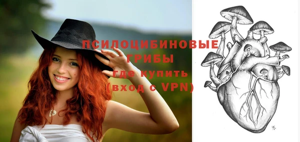 прущая мука Медвежьегорск