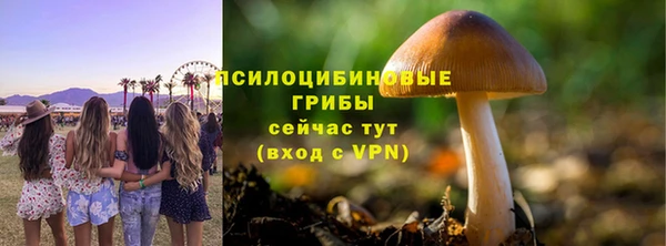 прущая мука Медвежьегорск