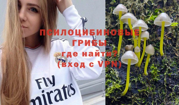 прущая мука Медвежьегорск